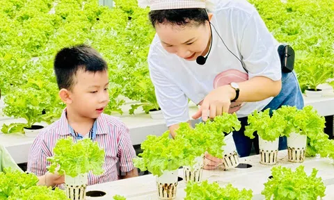 Khai thác tốt hơn các tiềm năng, lợi thế để thu hút du khách trải nghiệm du lịch nông nghiệp độc đáo của TPHCM