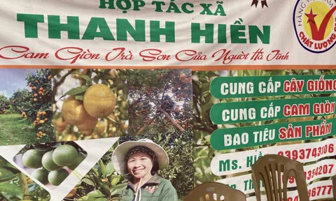 "Làm giàu không khó, chỉ khó có quyết tâm không"