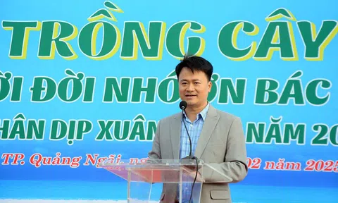 Quảng Ngãi: Triển khai "Tết trồng cây đời đời nhớ ơn Bác Hồ" nhân dịp Xuân Ất Tỵ 2025