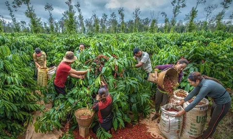 Đắk Lắk: Phát động Cuộc thi sáng tạo nội dung số tuyên truyền Lễ hội Cà phê Buôn Ma Thuột trên môi trường mạng