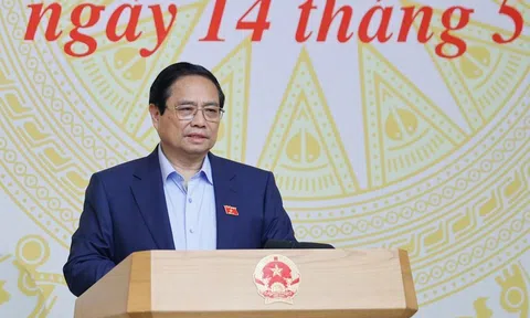 Thủ tướng chỉ thị nghiên cứu, bổ sung chế tài xử lý cá nhân, nghệ sỹ, người nổi tiếng quảng cáo sai sự thật