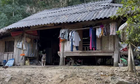 Khánh thành khu tái định cư xóm Nhàng: An cư giữa đại ngàn Kim Thượng