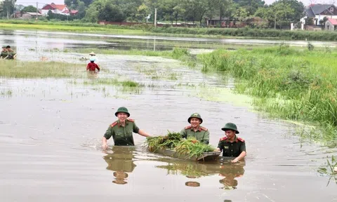 Phát động cuộc thi sáng tác ca khúc “Lực lượng vũ trang Hà Tĩnh - Vang mãi bản hùng ca”