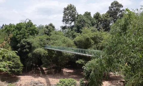 Kaho Healing Village - Hành trình chuyển mình của viên ngọc xanh giữa lòng Khánh Hòa