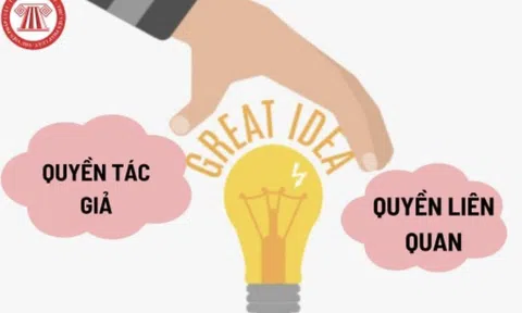Cần Thơ: Thực hiện hiệu quả hoạt động tuyên truyền, phổ biến pháp luật về quyền tác giả
