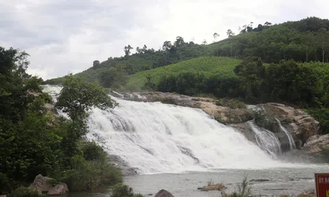 ERPA: Bảo vệ rừng, phát triển kinh tế xanh gắn với bảo tồn, gìn giữ bản sắc văn hóa truyền thống miền tây Nghệ An