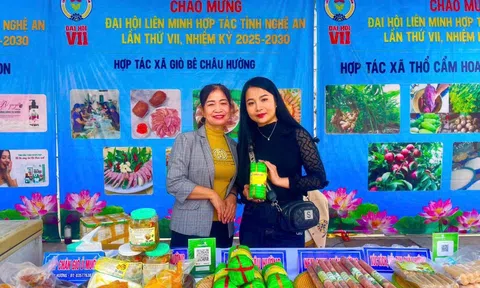Hội chợ xanh kinh tế tập thể, hợp tác xã và làng nghề Nghệ An năm 2025: Kết nối sản xuất - mở rộng thị trường tiêu thụ