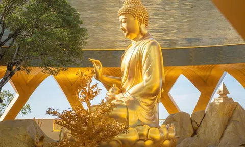 “Giải mã” sắc vàng của Tôn tượng Đức Phật Câu Na Hàm Mâu Ni trên núi Bà Đen