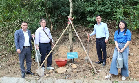 Đoàn Thanh niên VUSTA ra quân trồng cây xanh tại Đền thờ Chu Văn An, lan tỏa thông điệp sống xanh