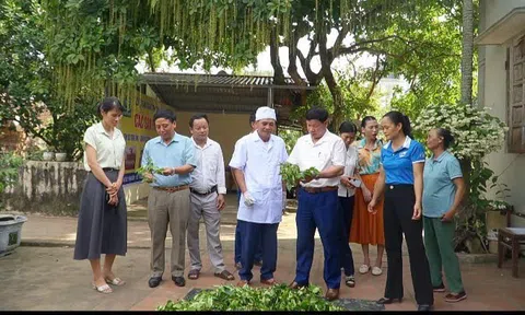 Tinh dầu Vương Tùng đạt chuẩn OCOP 3 sao, mở hướng phát triển kinh tế từ dược liệu bản địa ở Thanh Hóa