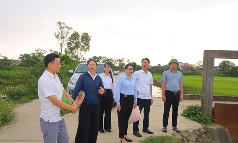 Hưng Nguyên Nam (Nghệ An): Chủ động kiểm tra, hoàn thiện hạ tầng thủy lợi - giao thông nội đồng phục vụ sản xuất vụ hè thu 2026