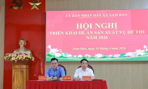 Nghệ An: Xã Nam Đàn chủ động ứng phó khó khăn, quyết tâm thắng lợi vụ Hè Thu 2026