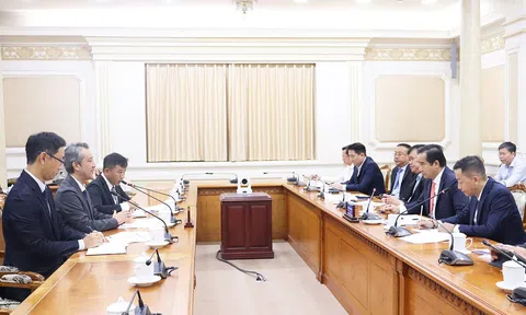 TP.HCM mở rộng cơ hội hợp tác với Tập đoàn Sumitomo Forestry, thúc đẩy đầu tư xanh và phát triển bền vững