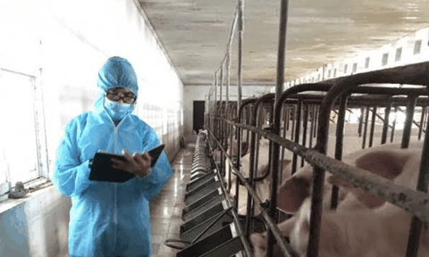 Hơn 30 năm gắn bó với nghề viết bằng tất cả đam mê: Mong tiếp tục lan tỏa những tấm gương "người tốt, việc tốt" đến bạn đọc