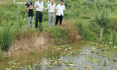 Xã Hợp Minh (Nghệ An): Phát huy hiệu quả nguồn vốn tín dụng chính sách, thúc đẩy phát triển kinh tế địa phương
