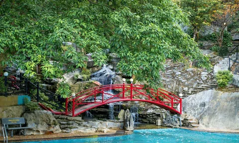 Khám phá Suối Đá Phong Nha - Điểm du lịch sinh thái với dòng suối xanh mát, nhiều trải nghiệm hấp dẫn giữa núi rừng Quảng Trị