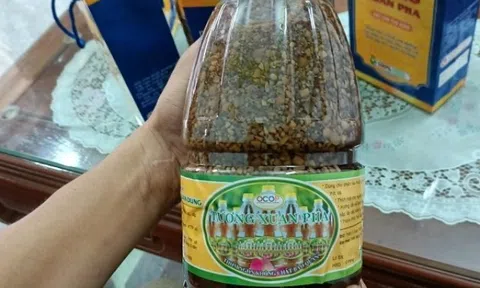 Nức tiếng tương Xuân Phả