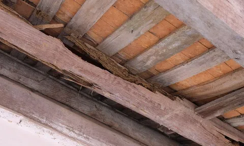 Thanh Hóa: Đình Quan Chiêm xuống cấp nghiêm trọng, có thể đổ sập bất cứ lúc nào