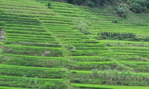 Thanh Hóa: Đổi thay ở “thủ phủ” thuốc phiện