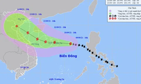 TP Đà Nẵng chỉ đạo cho người dân sửa nhà chống bão số 5 trong đại dịch