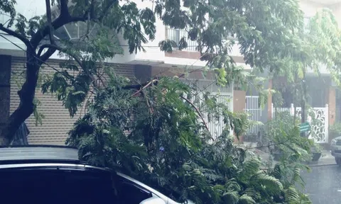 Bão số 5: Đà Nẵng mưa to kéo dài gây ngập đường, cây cối đổ ngã nghiêng