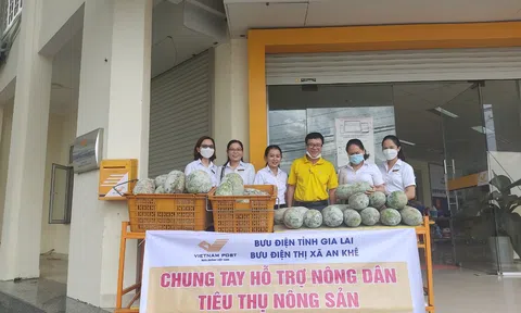Gia Lai: Bưu điện TX An Khê nỗ lực cùng người dân tiêu thụ sản phẩm nông sản do ảnh hưởng dịch Covid -19