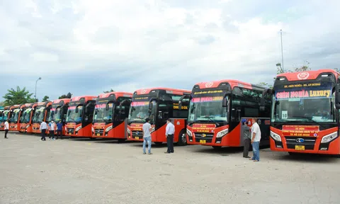 Quảng Ngãi sẽ đón khoảng 250 phụ nữ mang thai từ vùng dịch về quê