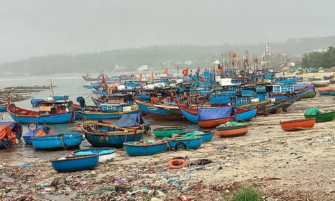 Quảng Ngãi liên lạc với tàu cá khẩn trương tránh trú bão số 7