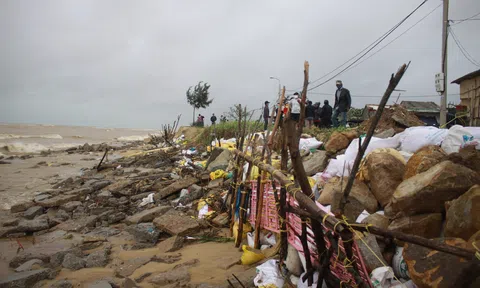 Quảng Ngãi: Mưa lớn gây ngập cục bộ nhà ven sông, triều cường sạt lở biển