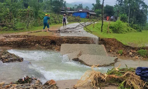 Nông nghiệp Quảng Ngãi chủ động gieo sạ vụ Đông Xuân trước diễn biến mưa lũ cuối năm
