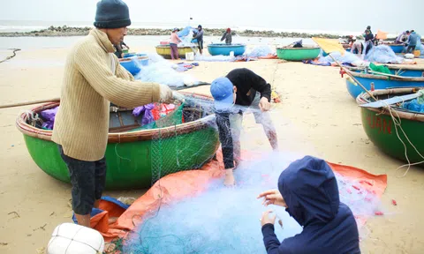 Ngư dân Quảng Ngãi thả lưới đánh cá ven bờ mùa biển động