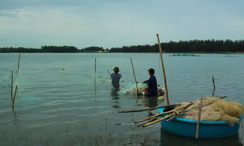 Quảng Ngãi: Đầm An Khê trong không gian văn hóa, sinh tồn của cư dân Sa Huỳnh cổ
