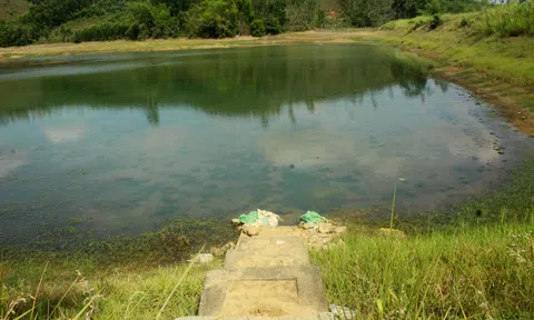 Quảng Ngãi: Kiểm tra an toàn công trình thủy lợi trước mùa mưa lũ