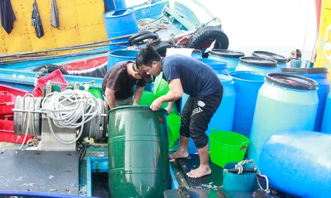 Tuần lễ Biển và Hải đảo: Công nghệ xanh để đại dương bền vững
