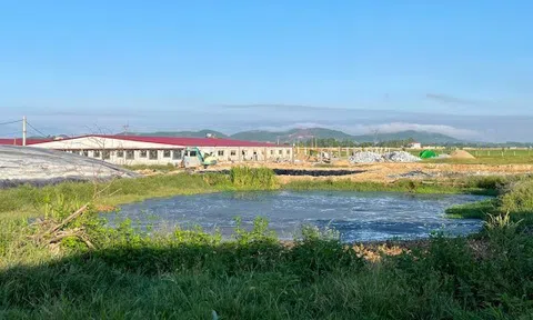 Hà Tĩnh: Một doanh nghiệp bị phạt 1,25 tỷ đồng vì gây ô nhiễm môi trường