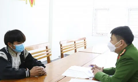 Triệu tập nhóm đối tượng chặt phá cây xanh đô thị ở Hà Tĩnh