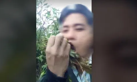 Nghệ An: Người đàn ông ăn lá ngón tự tử vì không được lấy vợ hai
