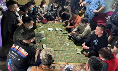 Nghệ An: Triệt phá ổ nhóm đánh bạc trong trang trại lợn