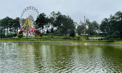 Khám phá vẻ đẹp hút hồn của Rừng thông Bản Áng Mộc Châu