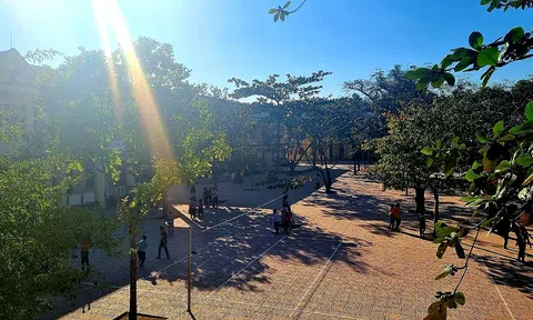 Trường THCS Quang Thành (Yên Thành, Nghệ An): Vượt sóng vươn xa