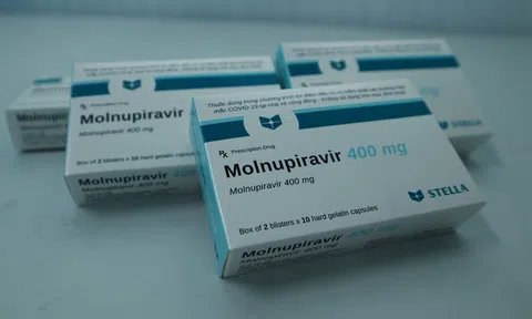 Ngành Y tế Nghệ An ra văn bản không được kinh doanh thuốc Molnupiravir