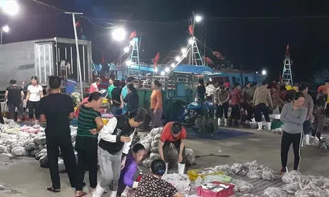 Nghệ An: Giá trị khai thác hải sản ước khoảng 700 tỷ đồng trong 3 tháng đầu năm