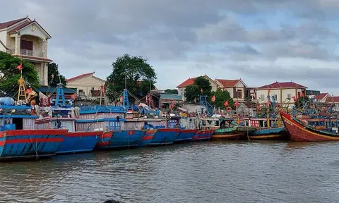 Nghệ An: Cấm các loại tàu thuyền và phương tiện vận tải ra khơi kể từ 17h ngày 26 tháng 9
