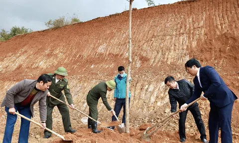 Huyện Nam Đàn (Nghệ An) phấn đấu trồng mới 150 ha rừng tập trung, 330.000 cây phân tán