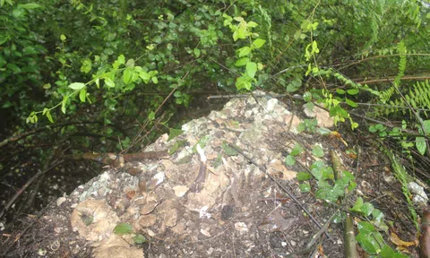 Nghệ An: Khai quật di tích khảo cổ học Cồn Đất