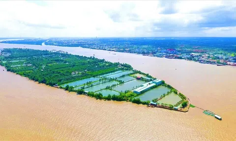 Cần Thơ: Thu hồi dự án du lịch nghìn tỷ của Tập đoàn TMS