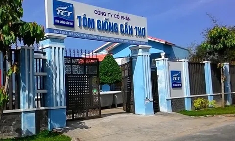 Công ty Cổ phần tôm giống Cần Thơ bị tố nhái nguồn gốc xuất xứ con giống