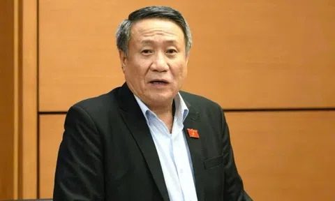 Đại biểu Hà Sỹ Đồng: Cần cơ chế đặc thù để triển khai Dự án Điện hạt nhân Ninh Thuận