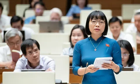 Tránh chồng chéo giữa Luật Lưu trữ với Luật Di sản văn hóa khi quy định về tài liệu lưu trữ đặc biệt