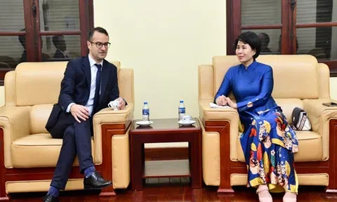 Công tác đối ngoại của Cục TDTT được triển khai tích cực, đa dạng